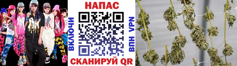 Марихуана Bruce Banner  дарнет шоп  Пыталово 